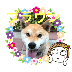 saya_20200710185851