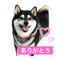 hikari_20200710194301