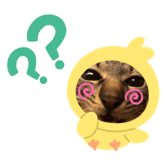 Cherry_20200710180334