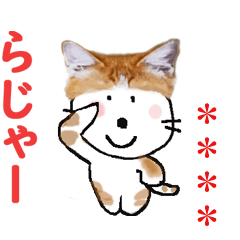 Custom Sticker of cat