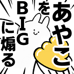 BIG Rabbits feeding [Ayako]