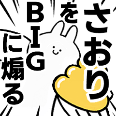 BIG Rabbits feeding [Saori]