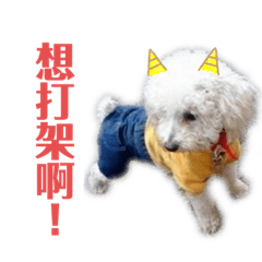 球球語錄II