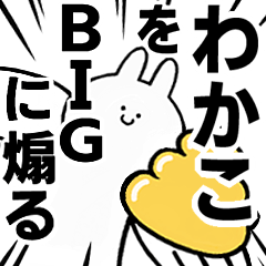 BIG Rabbits feeding [Wakako]