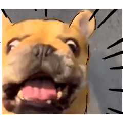 安東與歐嚕搞怪篇