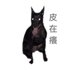 aka瘋狗旺