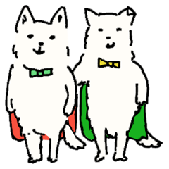 Chihuahua Brothers, Yon and Hachi