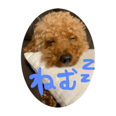 KANAE_20200711005802