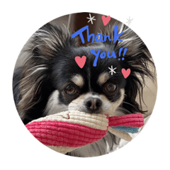 saori_20200711140525