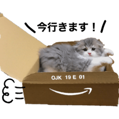tuffyneko_20200711100635