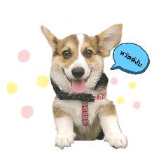 melon_20200710205410