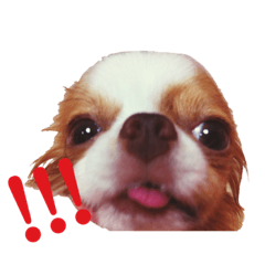 Yamada_20200711083604