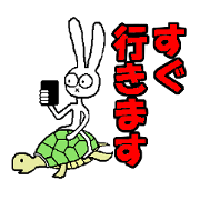 USAPII