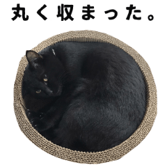 黒猫ちゃんスタンプ改