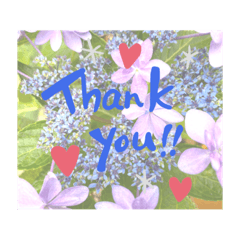 mochi_20200711114335