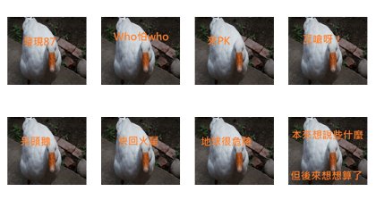 Choking geese