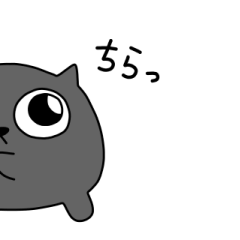 Spherical black cat 4