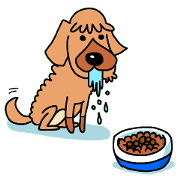 The name of Pet dog is barley