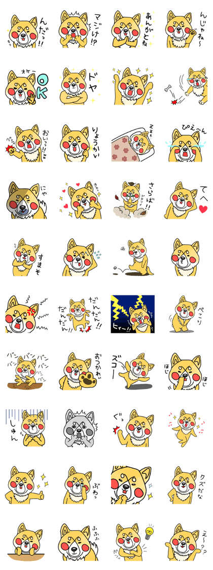 IWAKI DOG