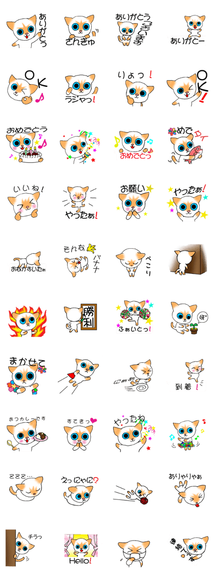 Momo Yan Coo