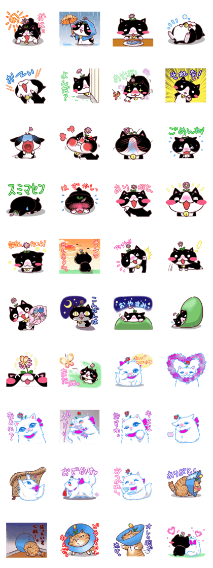 Flower cat Bunji