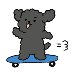 Black toy poodle
