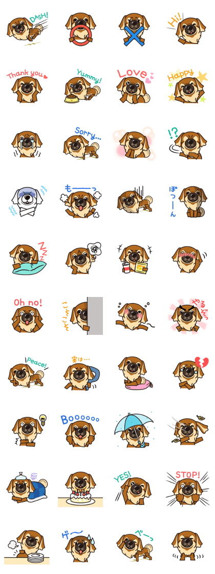 iinu - Tibetan Spaniel