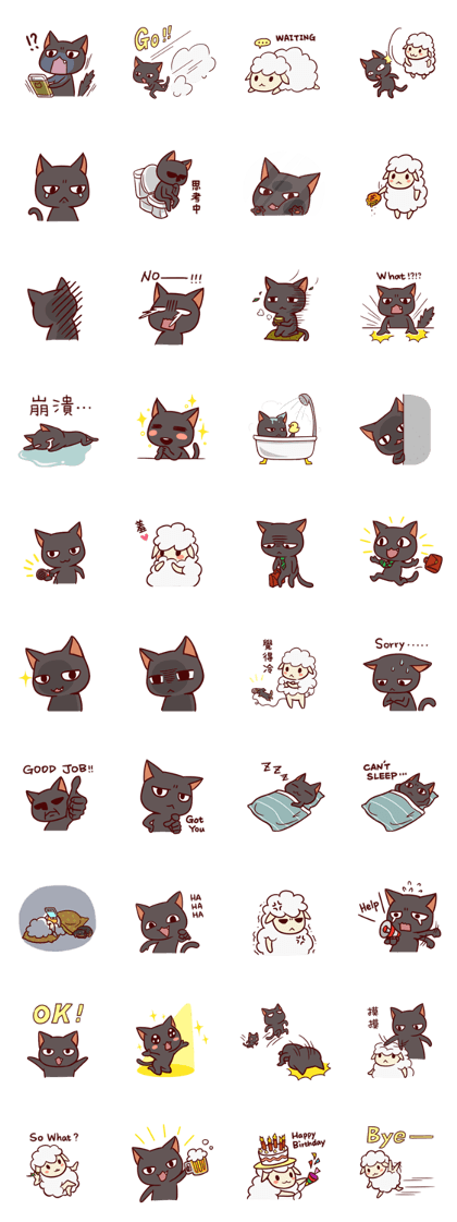 BlackCat's Lifestyle