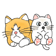 CHOROYAN of a cat
