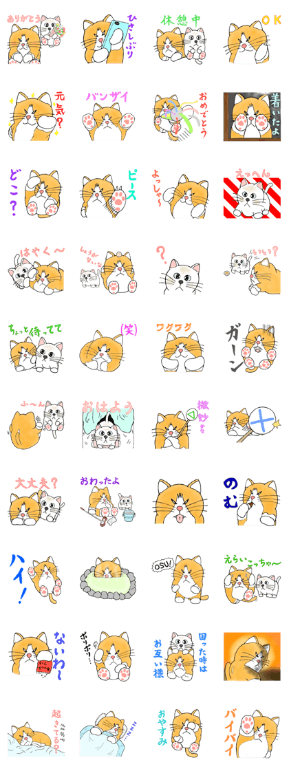 CHOROYAN of a cat