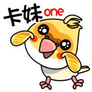 cute cockatiel 1