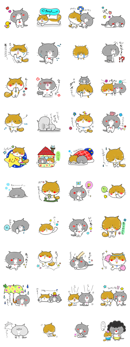 loose cat "PUNIPOPO"