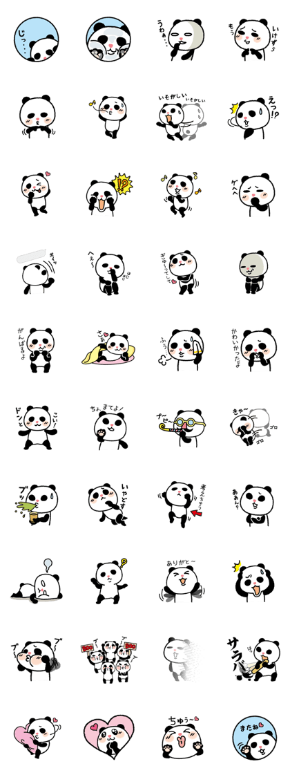 Panda born & grew up