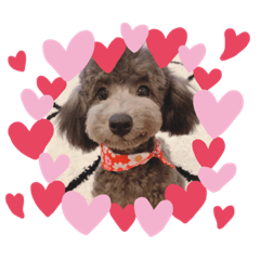 nanami_20200711182124