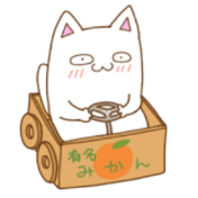 White cat "Pomekichi"