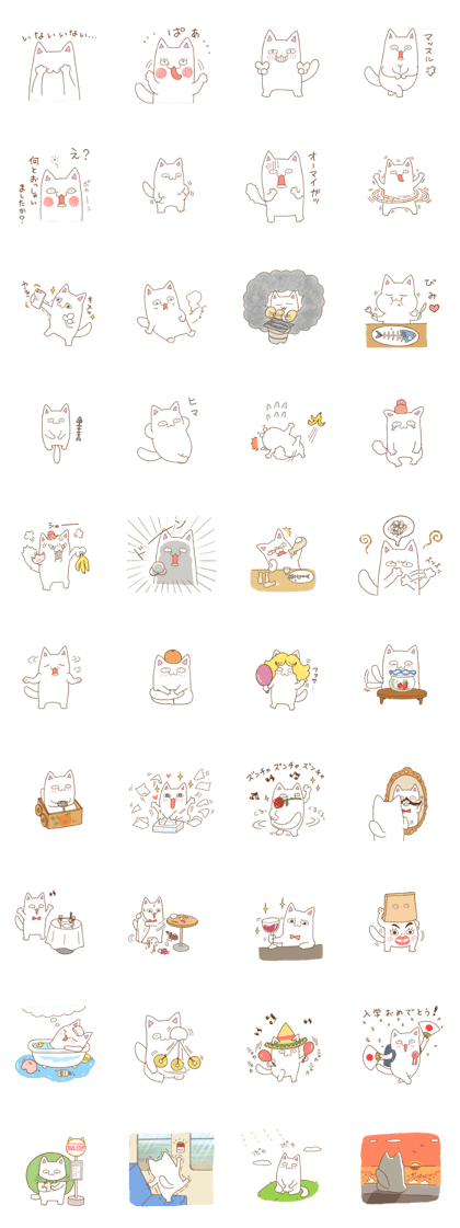 White cat "Pomekichi"