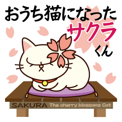 Sakura becoming a house cat.
