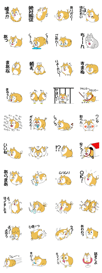 mameshiba mameta