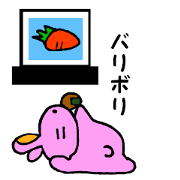 chubby rabbit of pink