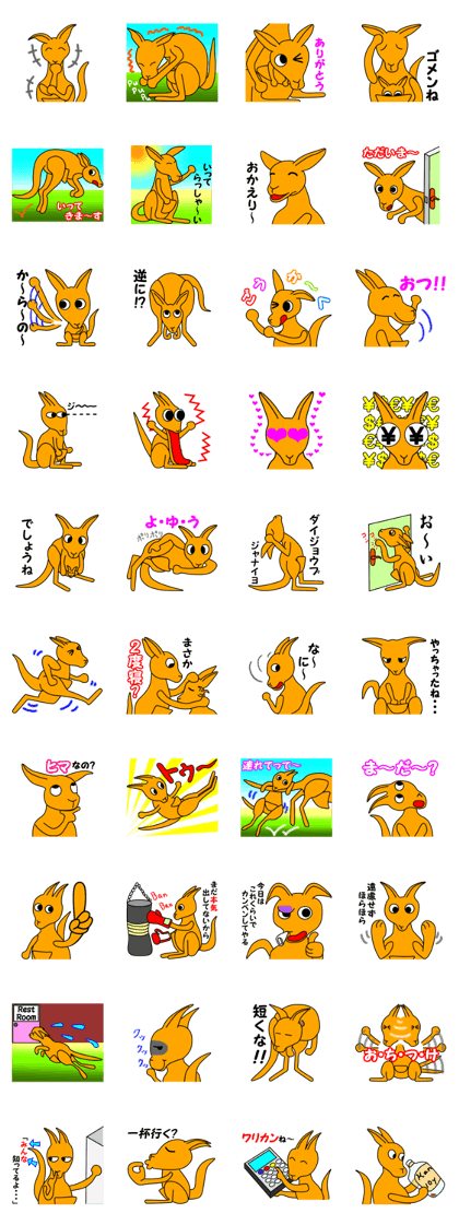 JIN-JIN Kangaroo Life (3rd)