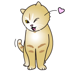 scottishfold-Mira-2