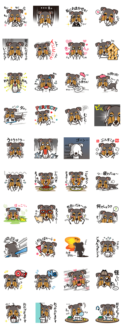 iinu - Rough Collie