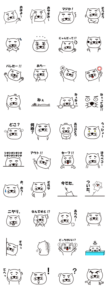 Thick white cat of eyebrows