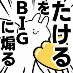 BIG Rabbits feeding [Takeru]