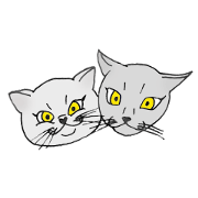 Luna & Coco