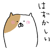 nyangorou's everyday