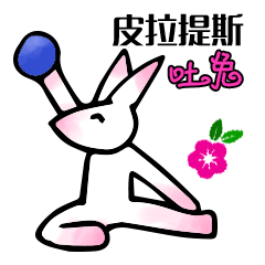 Pilates Rabbit