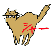 sur cat and people
