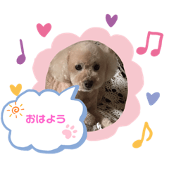CHOKOTANOSTAMP