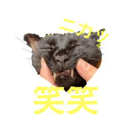 kurumi_20200712120410